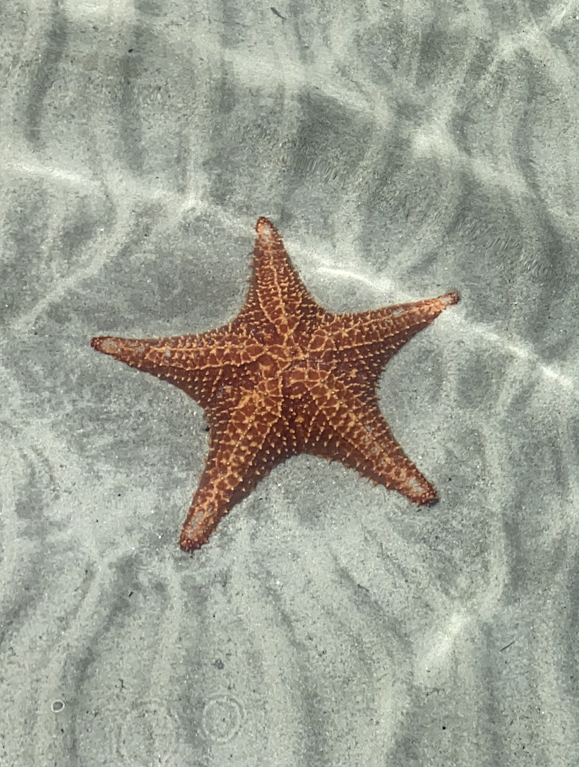 From Vision to Reality